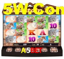 A5Bet: Seu Especialista em Apostas Esportivas Brasileiras